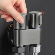 Válvula Dual de Acero Inoxidable